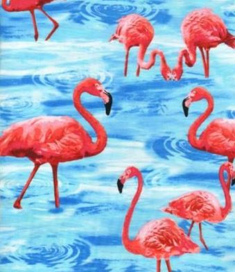 Flamingos - Click Image to Close